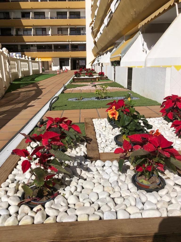 Yumbo Beach Apartment 2 With High Speed Free Internet San Bartolomé Ngoại thất bức ảnh